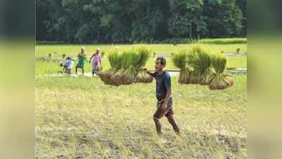 விவசாயிகளுக்கு ஹேப்பி நியூஸ்... குறைந்தபட்ச ஆதரவு விலை உயர்வு!