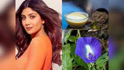 Anti Ageing Herbs: हमेशा जवान दिखने के लिए दूध में मिलाकर डेली पिएं ब्राह्मी, इन 8 आयुर्वेदिक जड़ी बूटियों के सेवन से नहीं आएगा बुढ़ापा!