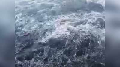 Punjab news: पंजाब ने राजस्‍थान की नहर में छोड़ा जहरीला काला पानी... जनता में हाहाकार, सोशल मीडिया पर छाया #नहर_में_जहर