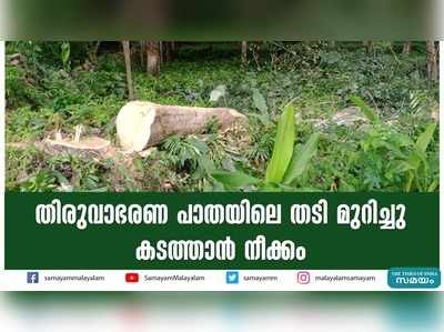 തിരുവാഭരണ പാതയിലെ തടി മുറിച്ചു കടത്താൻ നീക്കം!