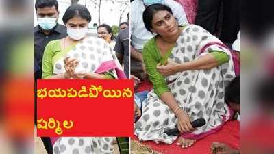 YS Sharmila: కెవ్వుమంటూ అరిచిన షర్మిల.. భయపడి వెనక్కు జరిగిపోయి..