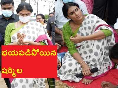 YS Sharmila: కెవ్వుమంటూ అరిచిన షర్మిల.. భయపడి వెనక్కు జరిగిపోయి..