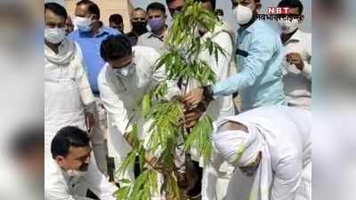 सियासी बवंडर के बीच अशोक का पौधा रोपकर दिल्ली गए सचिन पायलट