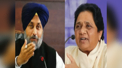 Punjab election: SAD और BSP की बनी बात, पंजाब में मिलकर लड़ेंगे विधानसभा चुनाव...जानें क्या हैं समीकरण