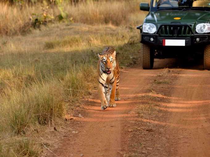 कॉर्बेट नेशनल पार्क