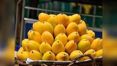 Mango Diet Plan: डायटीशियन के सुझाए इस तरीके से आम खाने से नहीं बढ़ेगा मोटापा, डायबिटीज भी रहेगी कंट्रोल