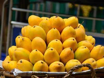 Mango Diet Plan: डायटीशियन के सुझाए इस तरीके से आम खाने से नहीं बढ़ेगा मोटापा, डायबिटीज भी रहेगी कंट्रोल