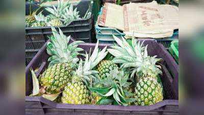 Tripura Pineapple: स्वाद चखा है आपने त्रिपुरा के रानी अनानास का? पहुंच रहा है दिल्ली-कोलकाता