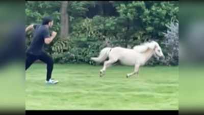 MS Dhoni Enjoys with a Pony : घोड़े के साथ रेस लगाते नजर आए महेंद्र सिंह धोनी, पत्नी साक्षी ने शेयर किया वीडियो