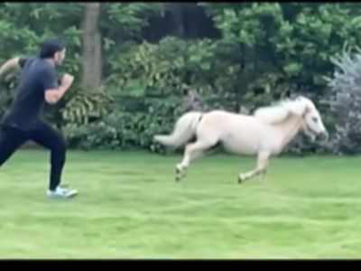 MS Dhoni Enjoys with a Pony : घोड़े के साथ रेस लगाते नजर आए महेंद्र सिंह धोनी, पत्नी साक्षी ने शेयर किया वीडियो
