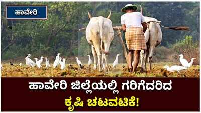 ಮುಂಗಾರು ಚುರುಕು: ಕೃಷಿ ಚಟುವಟಿಕೆ ಆರಂಭಿಸಿದ ರೈತರಿಂದ ಸರ್ಕಾರಕ್ಕೆ ವಿಶೇಷ ಮನವಿ!