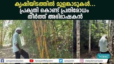 കൃഷിയിടത്തില്‍ മുളങ്കാടുകള്‍... പ്രകൃതി കൊണ്ട് പ്രതിരോധം തീർത്ത് അഭിഭാഷകന്‍