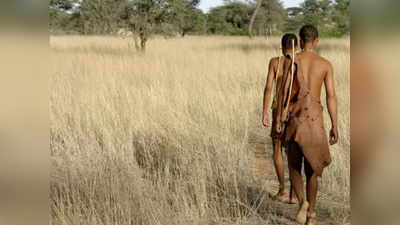 Bushmen of Kalahari: कालाहारी रेगिस्तान की शिकारी बुशमैन प्रजाति, एक बार में खा जाते हैं आधी भेड़