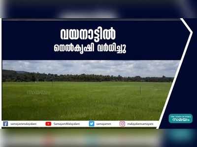 വയനാട്ടില്‍ നെല്‍കൃഷി വര്‍ധിച്ചു; നെല്ല് സംഭരണത്തിലെ പാളിച്ചകള്‍ പരിഹരിക്കണമെന്ന് കര്‍ഷകര്‍