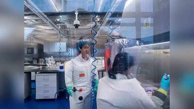 Coronavirus Wuhan Lab वुहानच्या प्रयोगशाळेत जिवंत वटघाटळं; व्हिडिओ व्हायरल