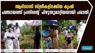 ആദിവാസി സ്ത്രീകളിറക്കിയ കൃഷി  പഞ്ചായത്ത് പ്രസിഡൻ്റ് പിഴുതുമാറ്റിയതായി പരാതി