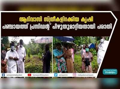 ആദിവാസി സ്ത്രീകളിറക്കിയ കൃഷി  പഞ്ചായത്ത് പ്രസിഡൻ്റ് പിഴുതുമാറ്റിയതായി പരാതി