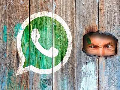 আপনার WhatsApp প্রোফাইলে কেউ নজর রাখছে? বুঝবেন কী ভাবে? জানুন