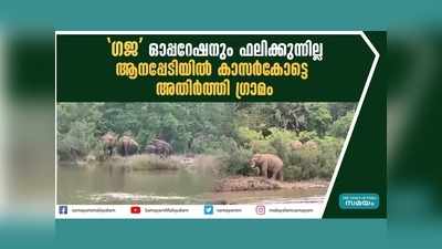 ഗജ ഓപ്പറേഷനും ഫലിക്കുന്നില്ല; കാട്ടാനകള്‍ നാട്ടില്‍ തന്നെ, ആനപ്പേടിയില്‍ കാസര്‍കോട്ടെ അതിര്‍ത്തി ഗ്രാമം