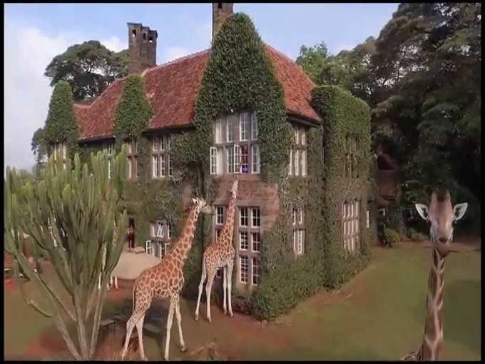 जिराफ मनोर, केन्या - Giraffe Manor, Kenya