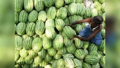 કોરોનાકાળમાં ખેડૂતની મદદે આવી ઈન્ડિયન આર્મી, 5 ટન તરબૂચની કરી ખરીદી