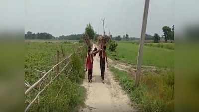 Katihar News: बिहार के विकास के दावों की पोल खोल रहा बंकू टोला, 7 दशक बाद भी नहीं पहुंची सड़क