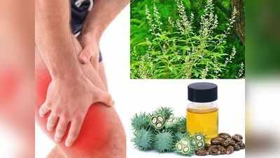 Home remedies: बिना पैसे खर्च किए इन देसी नुस्खों से दूर करें पैरों के दर्द का इलाज, आयुर्देविक डॉक्टर ने बताए घरेलू उपचार