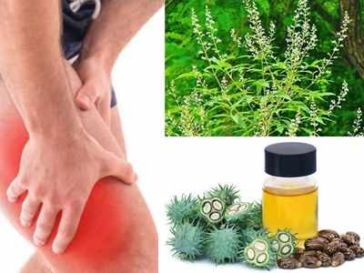 Home remedies: बिना पैसे खर्च किए इन देसी नुस्खों से दूर करें पैरों के दर्द का इलाज, आयुर्देविक डॉक्टर ने बताए घरेलू उपचार