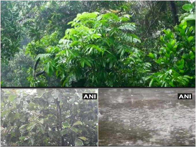 केरल में तेज़ बारिश हो रही है। तस्वीरें मलाप्पुरम की हैं।
