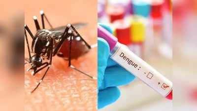 नाशिक शहरात चिकनगुनिया, डेंग्यूचे संकट