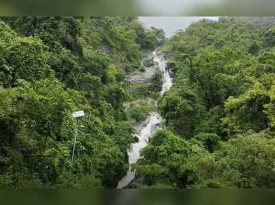 மழையால் குளிர்ந்த கோவை சிறுவாணி, குற்றாலம் எல்லாமே தயார் தளர்வு வந்தா ஜாலிதான்!