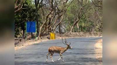 मुंबईच्या वाटांवरील समृद्ध भ्रमंती