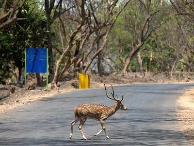 मुंबईच्या वाटांवरील समृद्ध भ्रमंती