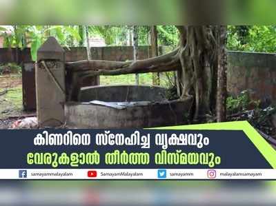 കിണറിനെ സ്നേഹിച്ച വൃക്ഷവും വേരുകളാല്‍ തീര്‍ത്ത വിസ്മയവും