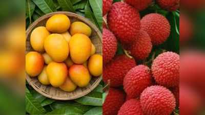 Mango litchi benefits : गर्मी के सुपरफूड हैं आम और लीची, लाल- पीले फलों में से कौन है सेहत के लिए ज्यादा बेहतर