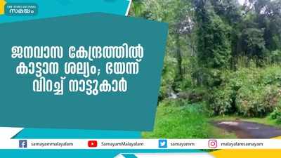 ജനവാസ കേന്ദ്രത്തില്‍ കാട്ടാന ശല്യം; ഭയന്ന് വിറച്ച് നാട്ടുകാര്‍