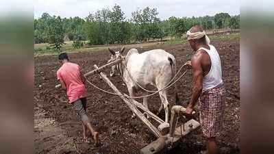 కాడెద్దు స్థానంలో కన్న కొడుకు.. శెభాష్ అనిపించేలా..! మనసు కదిలించే ఘటన