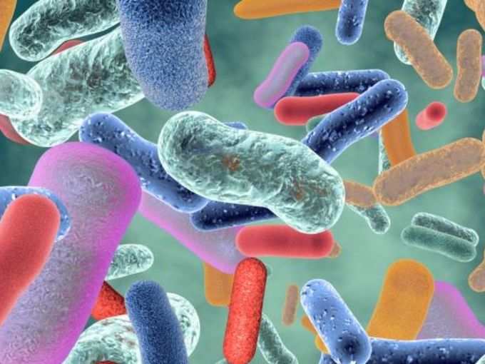 ​आंत के बैक्टीरिया (Gut bacteria) असंतुलित हो सकते हैं