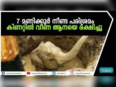 7 മണിക്കൂർ നീണ്ട പരിശ്രമം; കിണറ്റിൽ വീണ ആനയെ രക്ഷിച്ചു