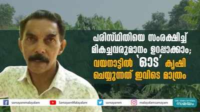 പരിസ്ഥിതിയെ സംരക്ഷിച്ച് മികച്ചവരുമാനം ഉറപ്പാക്കാം;  വയനാട്ടില്‍ ഓട കൃഷി ചെയ്യുന്നത് ഇവിടെ മാത്രം