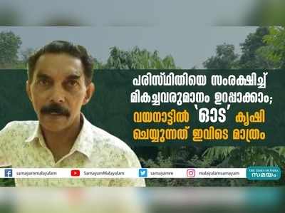 പരിസ്ഥിതിയെ സംരക്ഷിച്ച് മികച്ചവരുമാനം ഉറപ്പാക്കാം;  വയനാട്ടില്‍ ഓട കൃഷി ചെയ്യുന്നത് ഇവിടെ മാത്രം