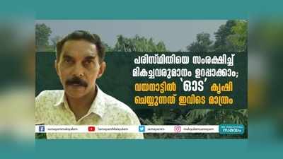 പരിസ്ഥിതിയെ സംരക്ഷിച്ച് മികച്ചവരുമാനം ഉറപ്പാക്കാം; വയനാട്ടില്‍ ഓട കൃഷി ചെയ്യുന്നത് ഇവിടെ മാത്രം, വീഡിയോ കാണാം