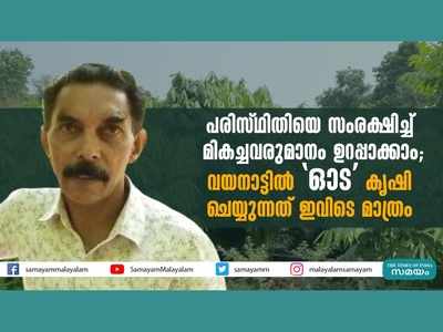 പരിസ്ഥിതിയെ സംരക്ഷിച്ച് മികച്ചവരുമാനം ഉറപ്പാക്കാം; വയനാട്ടില്‍ ഓട കൃഷി ചെയ്യുന്നത് ഇവിടെ മാത്രം, വീഡിയോ കാണാം