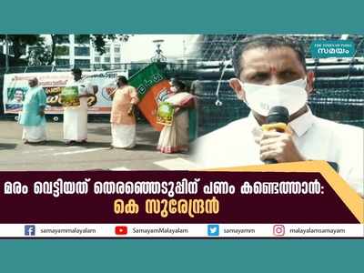 മരം വെട്ടിയത് തെരഞ്ഞെടുപ്പിന് പണം കണ്ടെത്താന്‍: കെ സുരേന്ദ്രന്‍