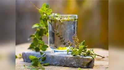 Tulsi Water: सुबह-सुबह नींबू पानी नहीं, पिएं तुलसी वाला पानी; सिर से पैर तक दूर हो जाएगी बीमारी