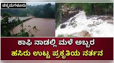 ಮುಂಗಾರಿಗೆ ಪುಳಕಗೊಂಡ ಚಿಕ್ಕಮಗಳೂರು:  ಮಿರ ಮಿರನೆ ಕಂಗೊಳಿಸುತ್ತಿದೆ ಹಸಿರಿನ ಗಿರಿಗಳ ಸಾಲು