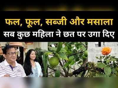 Rooftop Farming Video : लॉकडाउन में दिक्कत, एमपी की महिला ने छत पर उगा दिए फल और सब्जी