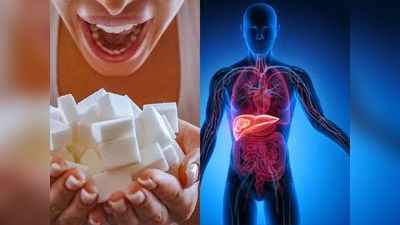 Sugar and Fatty Liver:  चीनी खाने से सेहत को हो रहे भारी नुकसान, शोध में आई फैटी लीवर कैंसर सहित इन बीमारियों की बात