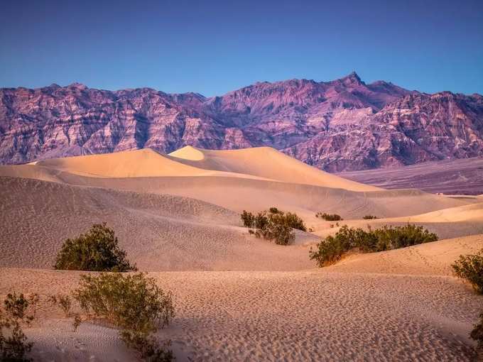 अमेरिका का दक्षिण-पश्चिम गर्मी से बुरी तरह प्रभावित