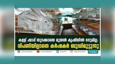 കള്ള് ഷാപ്പ് തുറക്കാതെ മുയൽ കൃഷിയിൽ നേട്ടമില്ല; വിപണിയില്ലാതെ കർഷകർ ബുദ്ധിമുട്ടുന്നു, വീഡിയോ കാണാം